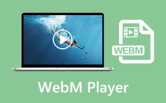 Lecteur Webm