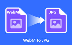WebM to JPG