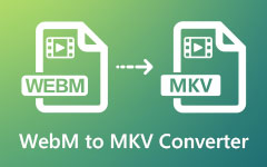 Конвертер WEBM в MKV