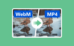 WebM til MP4