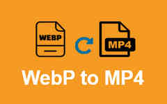 Webp в Mp4
