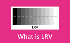 ¿Qué es el LRV?