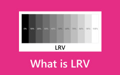 LRV nedir?