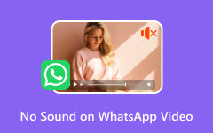 WhatsApp Video Ingen lyd reparasjon