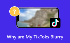 ¿Por qué están borrosos mis TikToks?