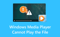 Windows Media Player no puede reproducir el archivo