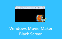 Windows Movie Maker Black Screen