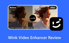 Wink Video Enhancer Review