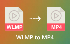 WLMP naar MP4