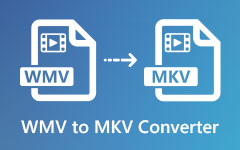 WMV'den MKV'ye dönüştürücü