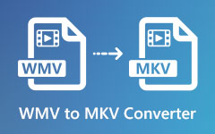 Convertidor WMV a MKV