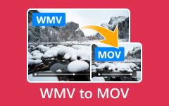 WMV in MOV