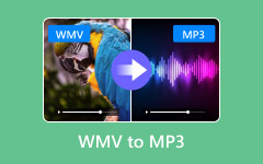 WMV إلى MP3