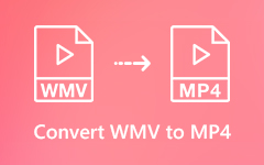 WMV'den MP4'e