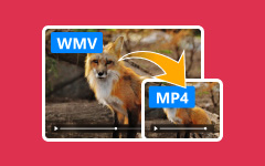 WMV to MP4