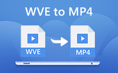 WVE إلى MP4