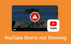 YouTube-shorts vises ikke