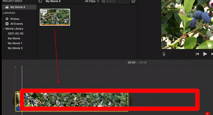 Put Video in Timeline
