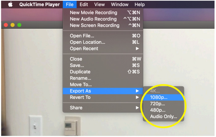 Quicktime Export Video