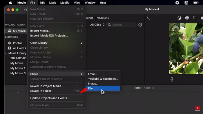 Transform MOV to MP4 iMovie