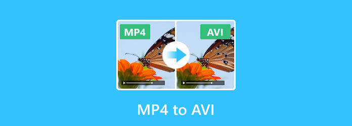 MP4 naar AVI