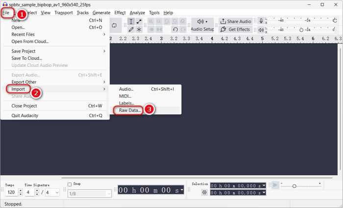 Add MP4 to Audacity
