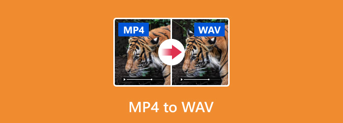 MP4 till WAV