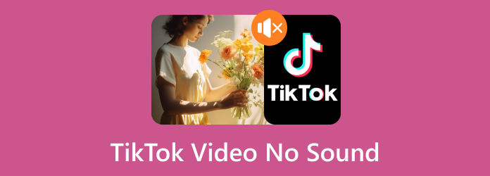 Žádný zvuk na TikTok Video Fix