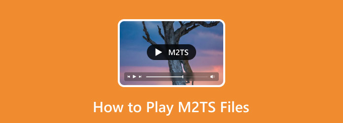 Play M2TS Files