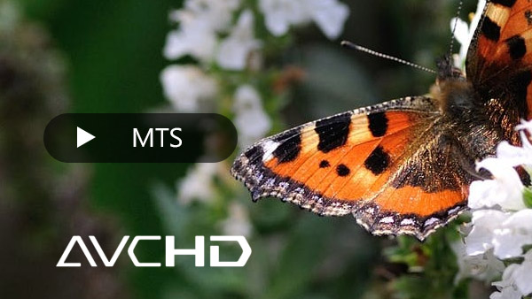 gioca mts m2ts file