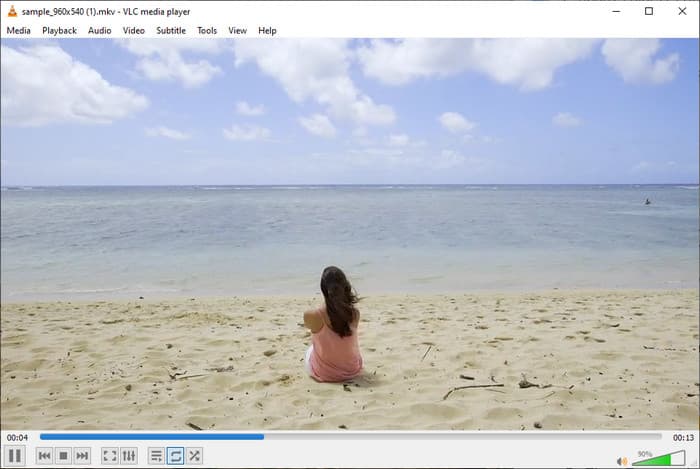 VLC Media Player