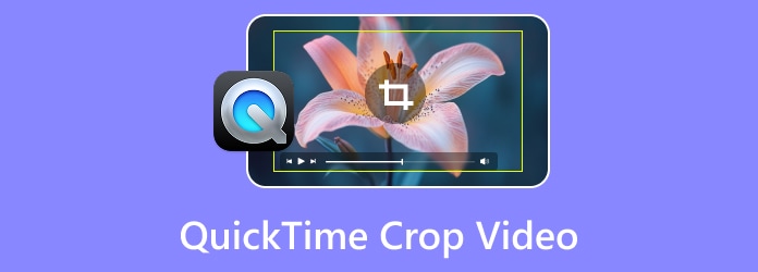 VLC Crop Video