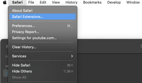 QuickTime Not Working Safari Extension