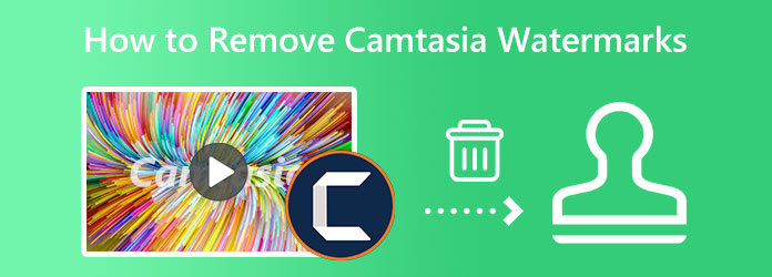 Удалить водяные знаки Camtasia