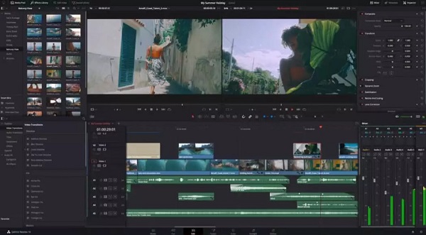 Davinci Resolve Poista