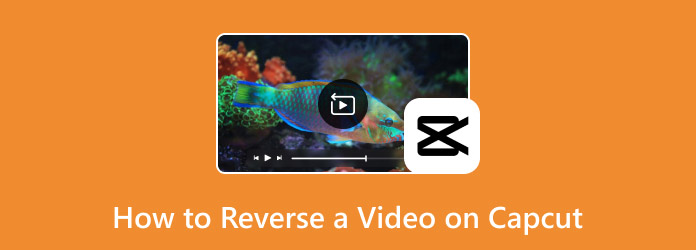 How to Reverse a Video on Capcut