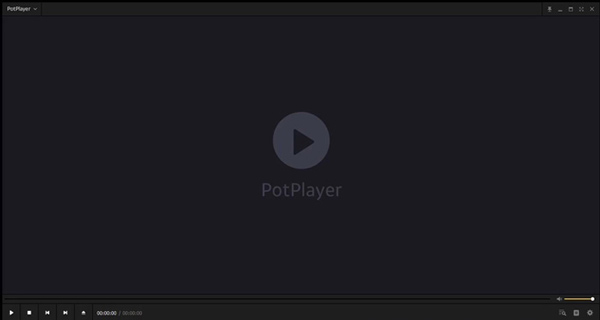 SWF File Player PotPlayer