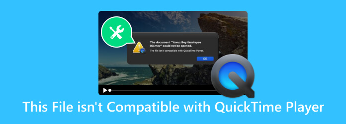 Dit bestand is niet compatibel met QuickTime Player