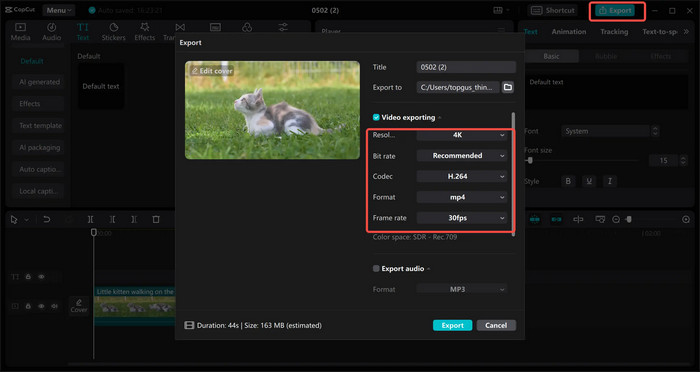 Capcut Video Exporting