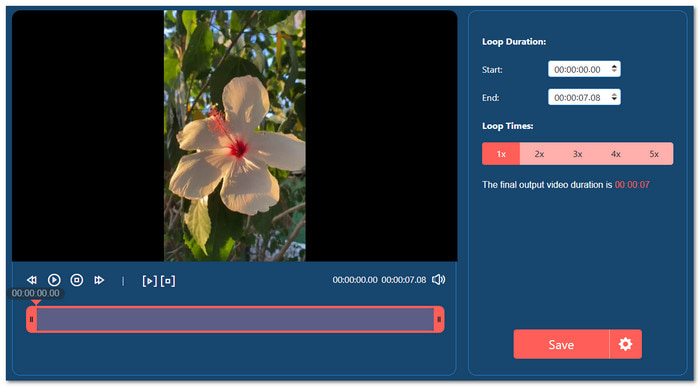 Anyrec Best Online Video Looper
