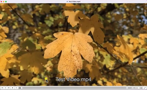 Vlc Media Player On Mac