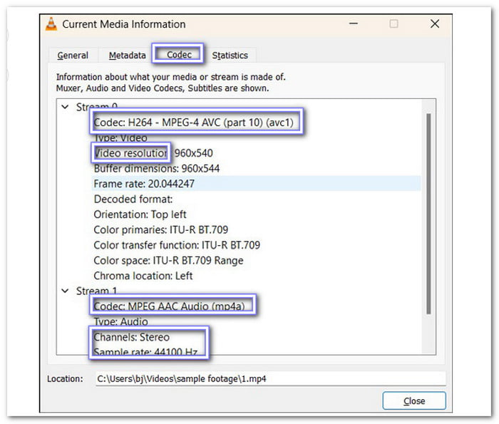 Check Codec Information
