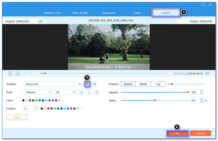 Add Subtitle And Customize It