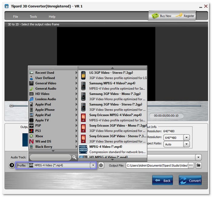 Choose A Normal Video Format