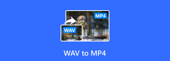 WAV to MP4