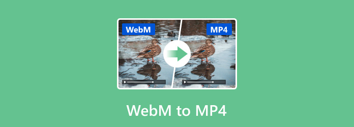 WebM til MP4