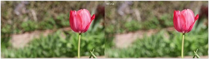 Before And After Test