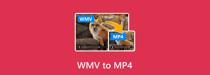 WMV til MP4