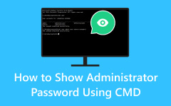 Показать пароль администратора CMD