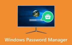 Windows Password Manager